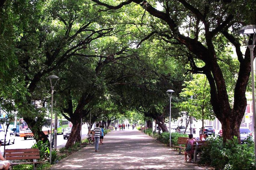 Avenida Frei Serafim (Canteiro central) - Foto: Fernando Santos Cunha Filho - (Licen