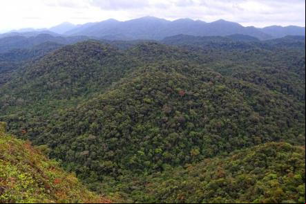Vista do topo de uma colina no parque - Foto: Bjorn Christian Torrissen (Licen