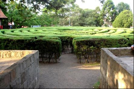 Labirinto verde na Pra
