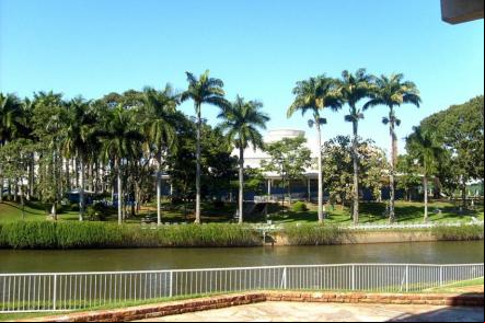 Vista do Gin