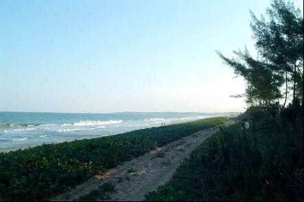 Fim de tarde em Praia do Pecado - Foto: Gladstone P. Moraes (Licen