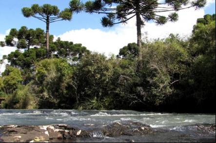 Parque Salto S