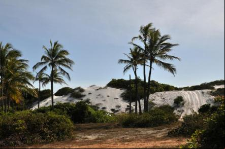 Praia de Massarandupi