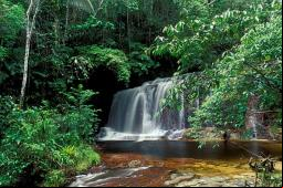 Cachoeira Formosa - Foto: Jorge Natal (Tribuna do Juru