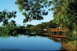 Lagoa do Timeantuba - Praia do Forte (Mata de S