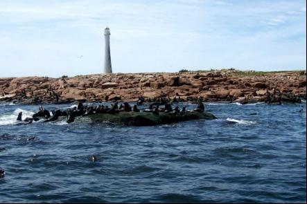 Ilha de Lobos - Foto: Sandra Pineda Arce la Torre (Licenca-cc-by-sa-3-0)