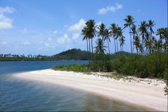 Praia de Carneiros - Tamandar
